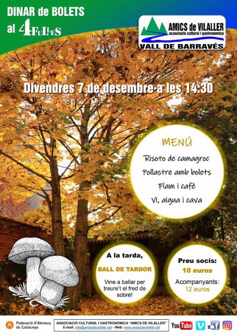 2018-12-07-dinar-de-bolets